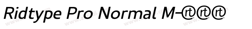 Ridtype Pro Normal M字体转换